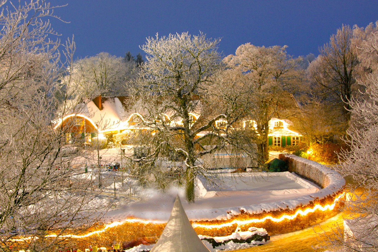 Bild zu Lüneburg und mehr zur Adventszeit