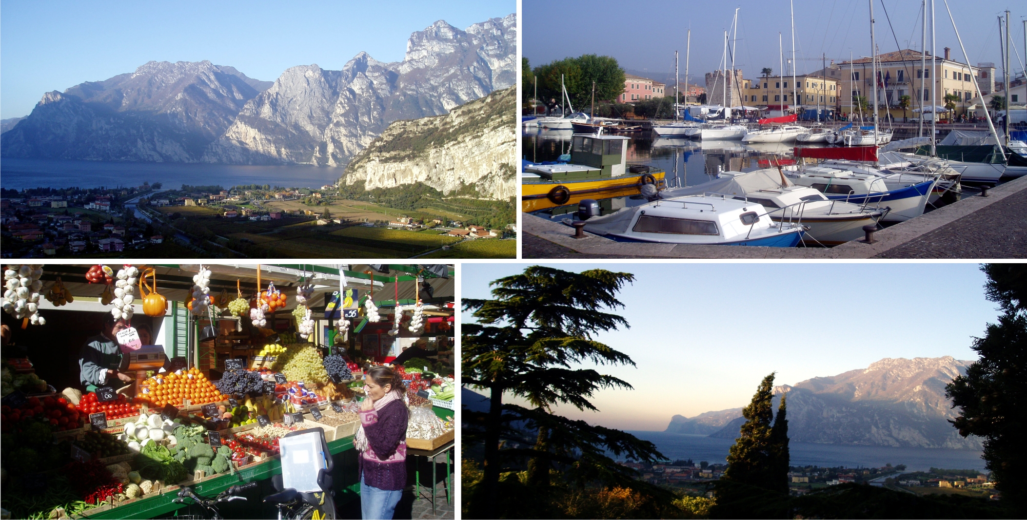 Bild zu Reise in eine mediterrane Welt