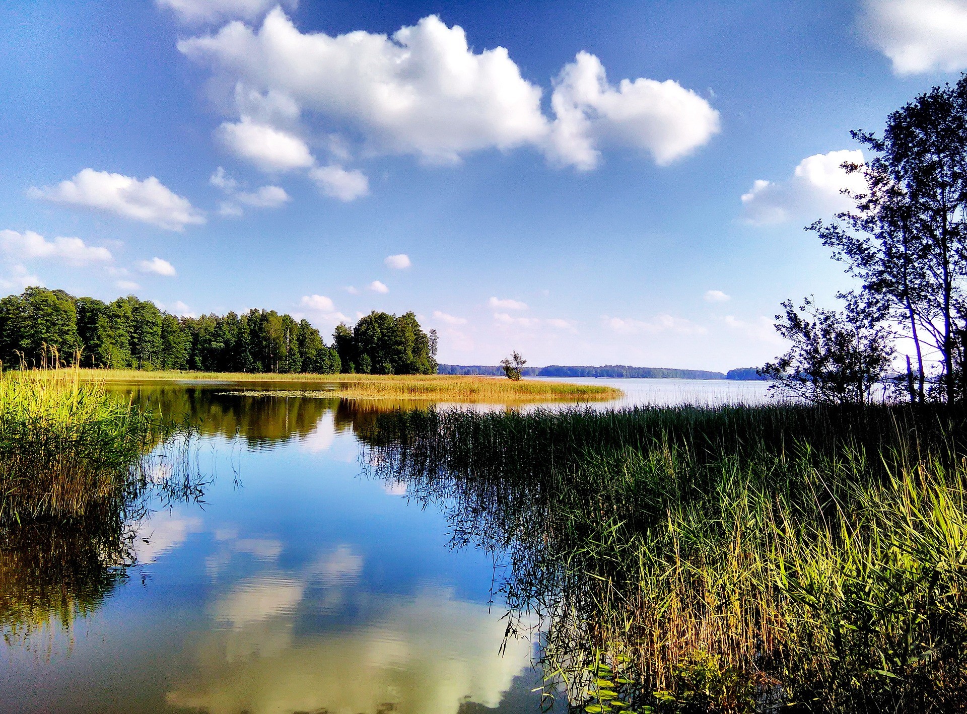 Bild zu Natur und Geschichte 2021