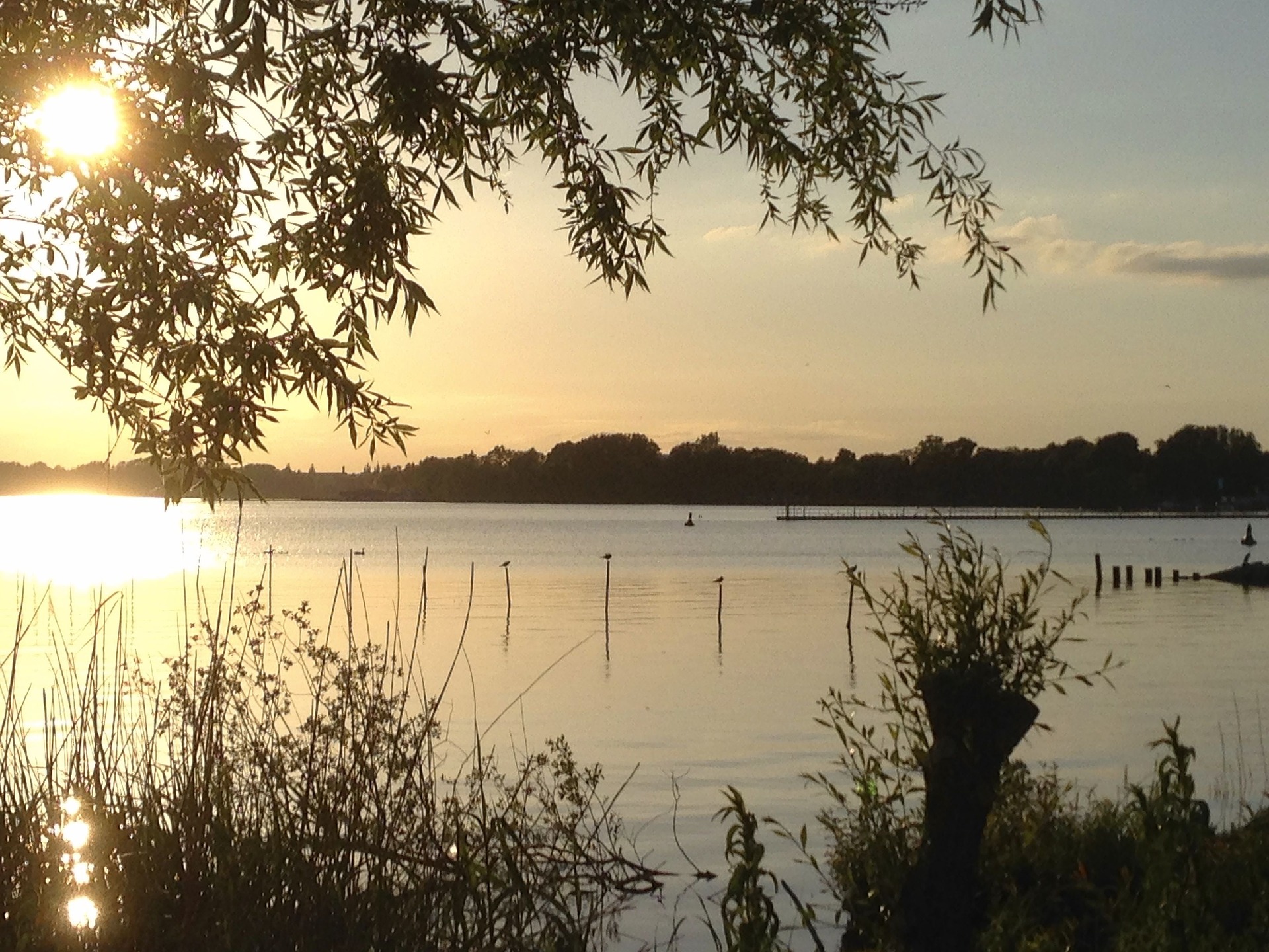 Bild zu Natur und Kultur 2021